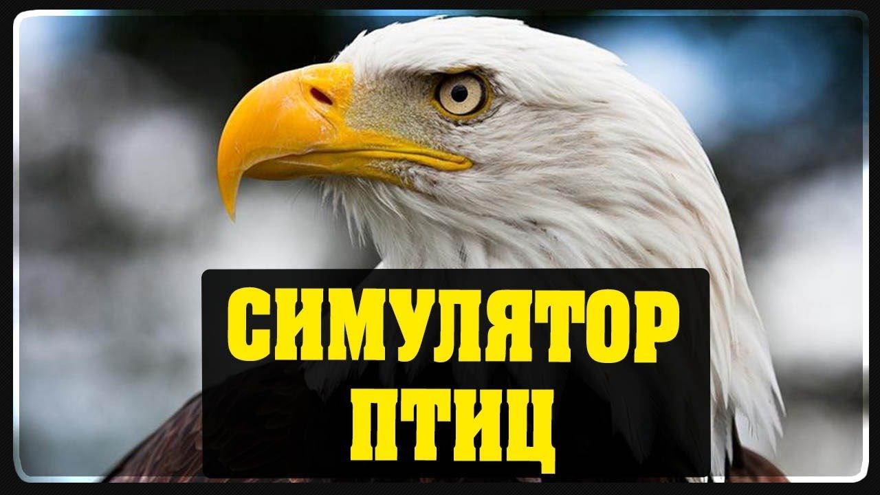 Симулятор птиц - Birds simulator - Наркомания