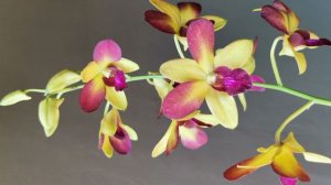 П-8. Ч-1. Распаковка восьмой посылки. Часть 1