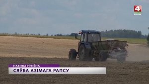 Сев озимого рапса начали в Могилевской области