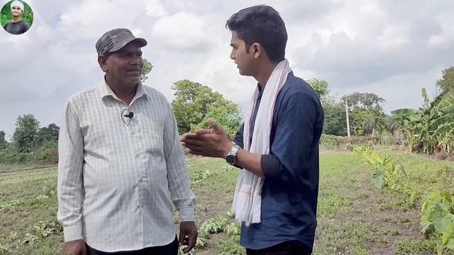 Mint Farming - Agriculture Business Ideas - पुदीने की खेती - Full details - Hindi
