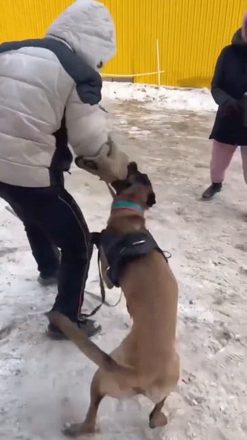 Мороз - не повод пропускать тренировки 💪💪🫶🫶 смотреть онлайн
