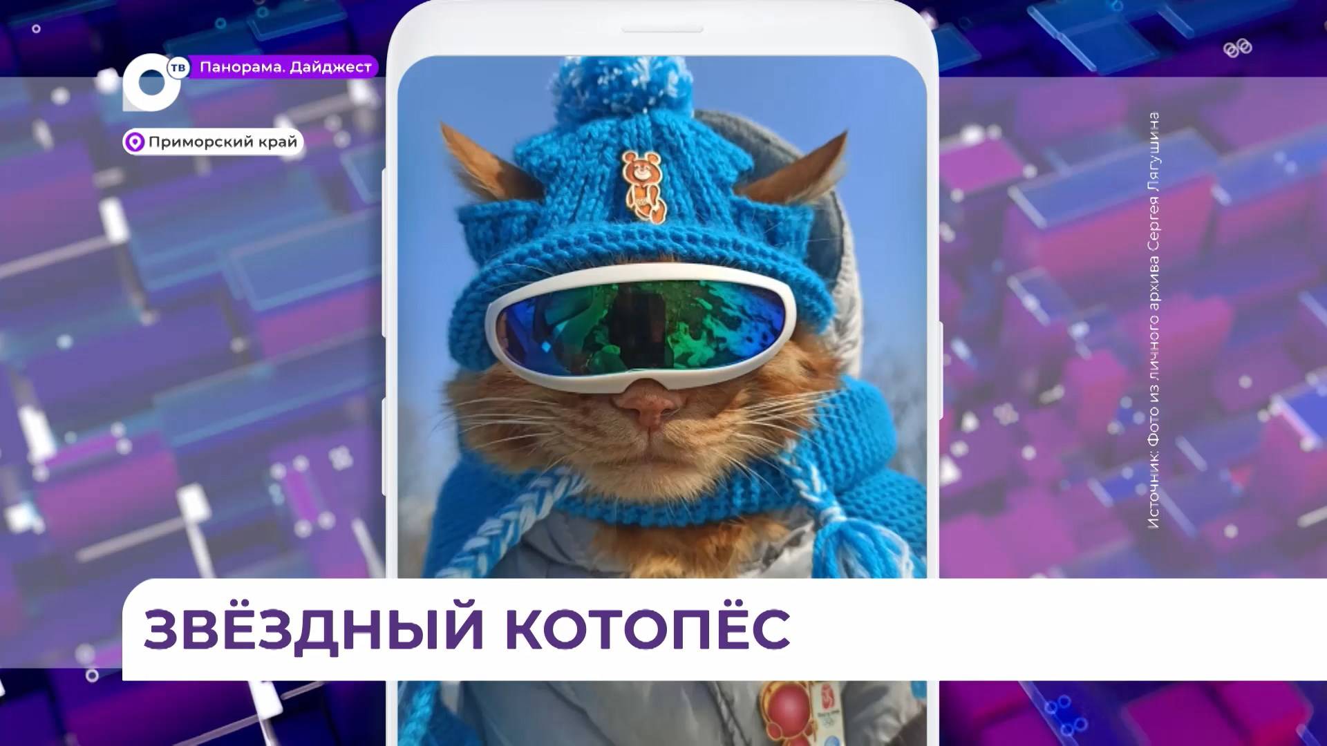 Житель Владивостока и его кот Симба планируют и дальше удивлять поклонников