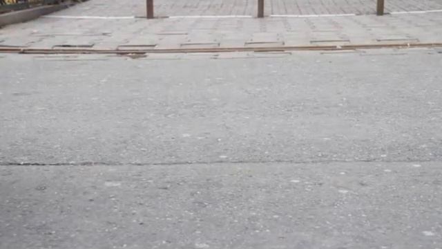 Галуева Мария Мы все ходим по одной земле