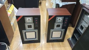 Акустика SONY APM-55W