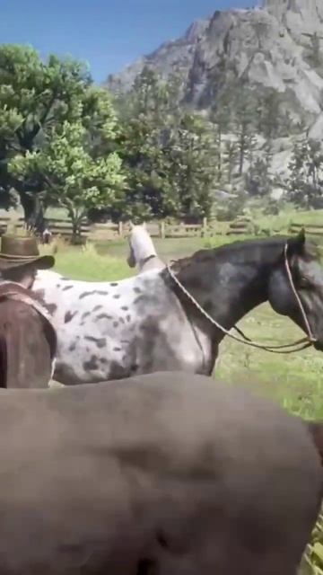 El mejor caballo #reddeadredemtion2 смотреть онлайн