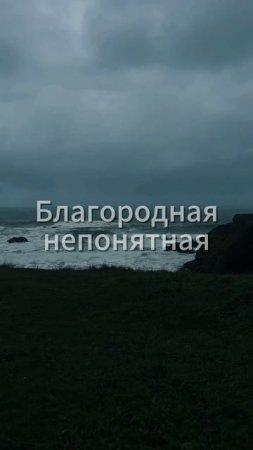 Александр Тремаскин