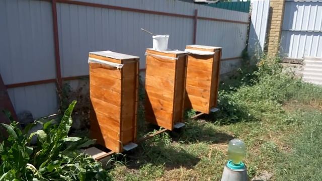 Шэстирамочные УЛЬЯ! смотреть онлайн