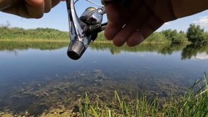 Летний ЖОР у ЩУКИ.