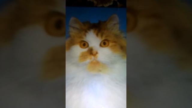 A4 тает срок. смотреть онлайн