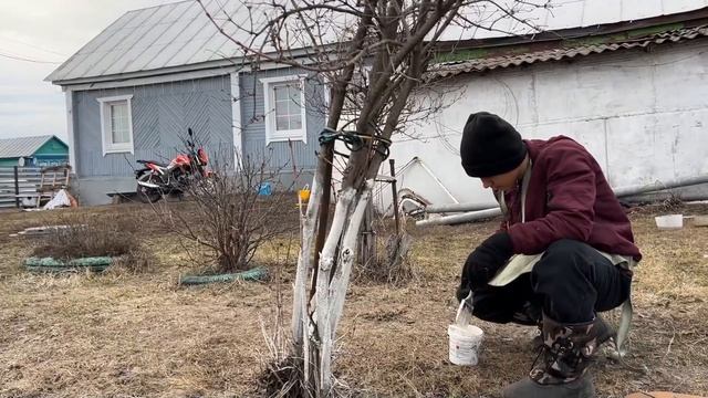 ДЕРЕВЕНСКИЙ ДОМ ПО ВЫХОДНЫМ ПЕТУХ-ЭГОИСТ БОРЬБА С ПОРОСЛЬ