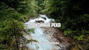 Тихая река — расслабляющая природная атмосфера