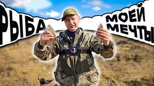 Весенняя рыбалка на фидер. Река Сок 🎣