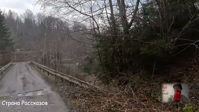 Пустила сестру в дом, чтоб за мужем присмотрела, а вернувшись, обомлела... смотреть онлайн