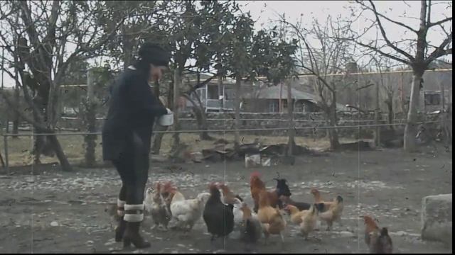 ЭКА В ЦХАЛТУБО В ДЕРЕВНЕ смотреть онлайн