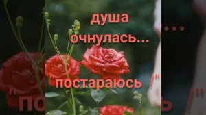 Никогда не сдавайся и ты победишь.