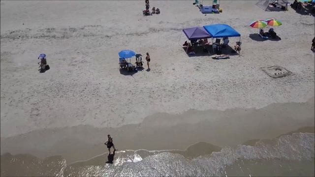 Pelican Beach Park- Satellite Beach смотреть онлайн