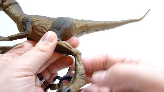 JURASSIC AMBER COLLECTION VELOCIRAPTOR REVIEW смотреть онлайн