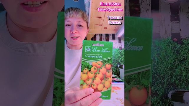 Коктейльные и вишневидные томаты от  @семко) #томаты #томат #семко #семена #дача #помидоры #черри
