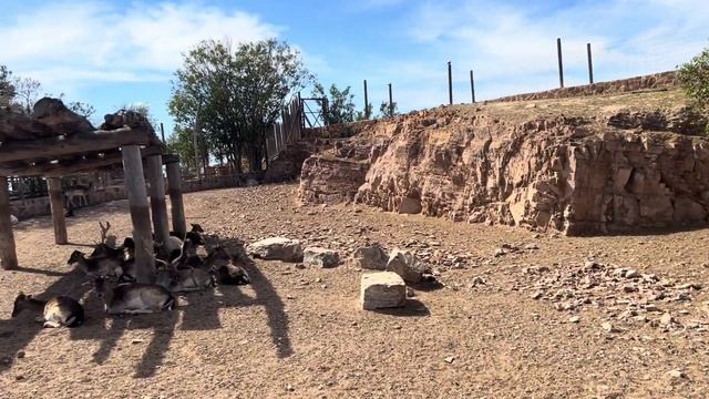 Парк Terra Natura МУРСИЯ смотреть онлайн