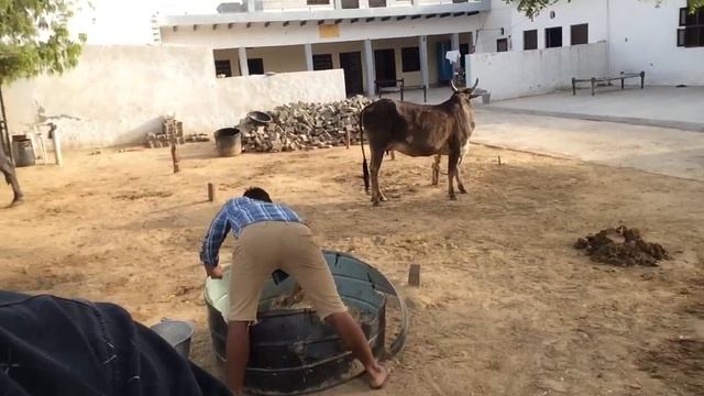 ||New mobile lena chaiya 😅||vlog21(#vlogs #vlogger #dailyvlog #youtube #youtubeshorts #vloging #) смотреть онлайн