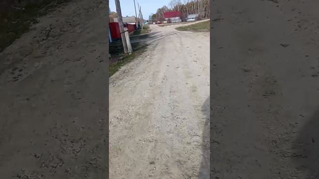 идём за сестрёнкой