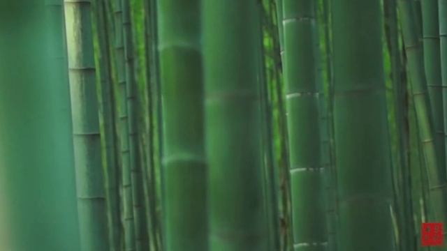 【古琴Guqin】《竹语间》坐忘云物外,得失山水间，Chinese Music, Guqin “Zhu Jian Yu”Wn Na
