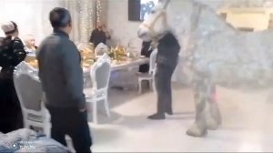 Цыганские лошади .Порода Першерон, Баронесса 5 лет. Хозяин Миша Курдюкэнгиро , город Сольцы.