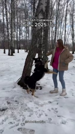 Учат в школе