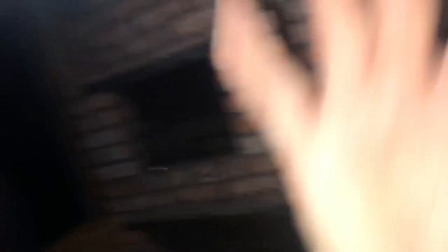 НОЧНЫЕ ПРИКЛЮЧЕНИЯ С НОЧНЫМИ БАБОЧКАМИ 🌕🦋 #VLOG 4