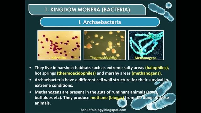 KINGDOM MONERA (10TH,11TH &12TH BY JSAROJ#MR.COOL) смотреть онлайн