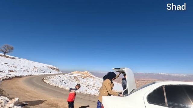 Custody Quest & City Escapade: A Rollercoaster Journey for Family and Fun смотреть онлайн