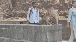 Остров Мумбаи Elephanta Caves Mumbai 2025 апрель Индия