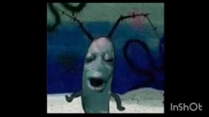 планктон ааа