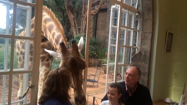 Giraffe Manor смотреть онлайн