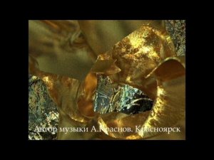 Без названия