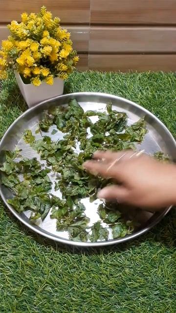 Ghar mai banaye aur Saalon tak store kar ke rakhe Pudin/Mint Powder #youtubeshorts смотреть онлайн