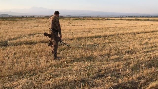 25 августа 2019 г. смотреть онлайн