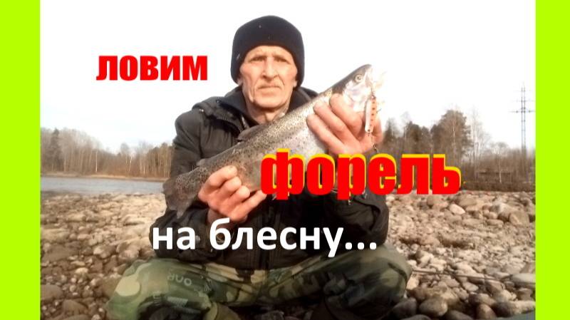 Форель на колеблющуюся блесну.