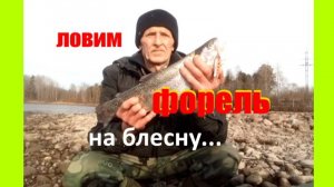 Форель на колеблющуюся блесну.