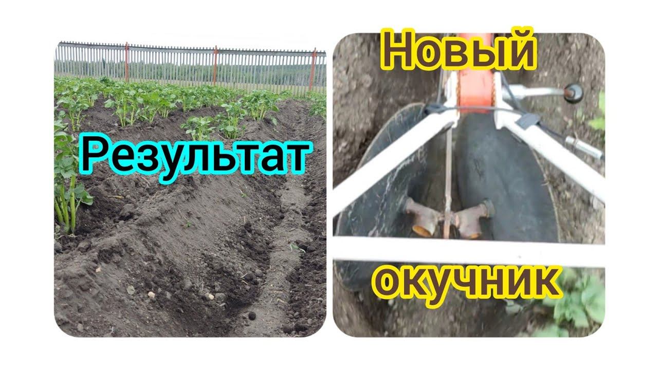 второе окучивание картофеля / Second hilling of potatoes #картошка #огород
