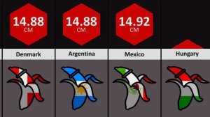 Average Penis Sizes Comparison
