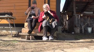 Собака померла а будка пригодилась,огородные работы,обрабатываю клубнику,любовь к животным