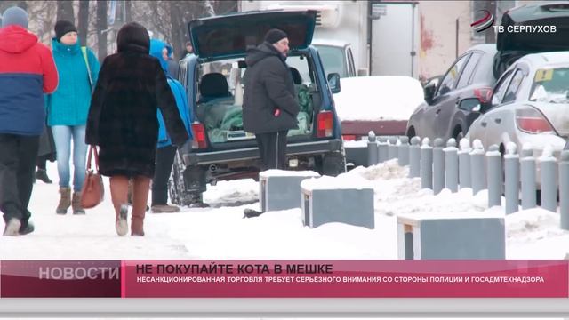 Не покупайте кота в мешке. смотреть онлайн