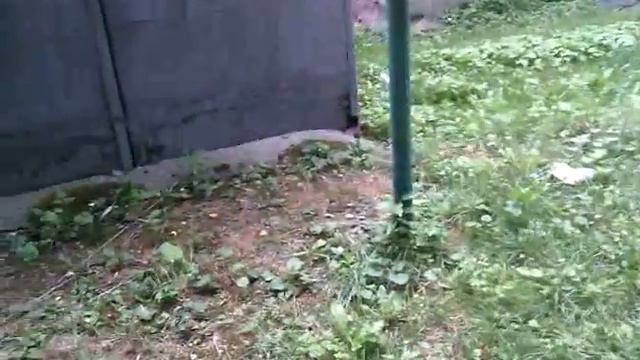 Мий навий вигляд смотреть онлайн