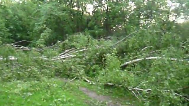 Ураган в парке Кузьминки смотреть онлайн