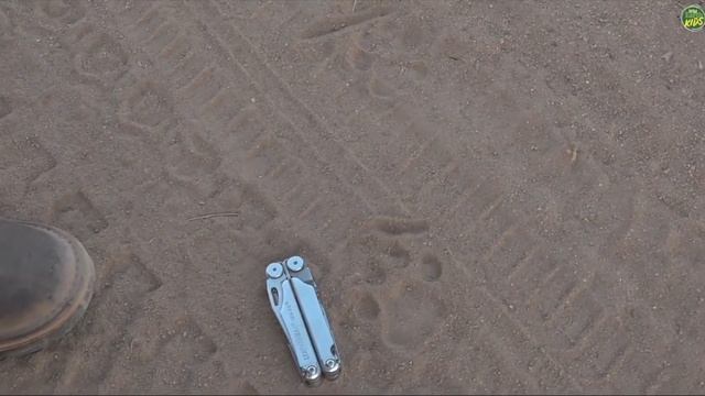 How To: Tell the Difference Between Lions Tracks and Leopard Tracks смотреть онлайн