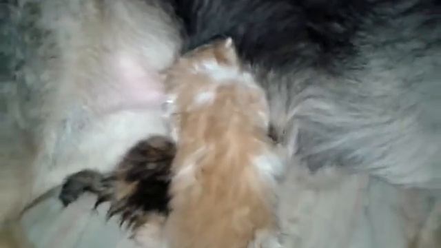 Дакота смотреть онлайн