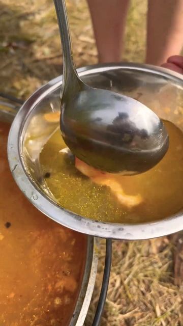 🔥Рецепт приготовления Царской ухи из Стерляди и Сома!🔥#уха #блатоввинодел#blatowvinodel #рецепт смотреть онлайн