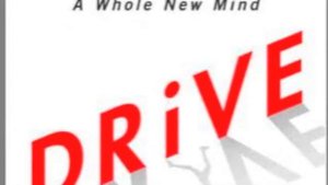 Book Report Drive by Daniel Pink