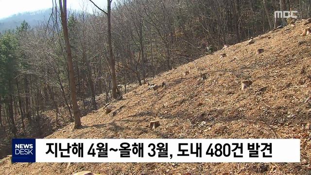 [뉴스리포트]재선충병, 영동지방 인근까지 확산 190901 смотреть онлайн